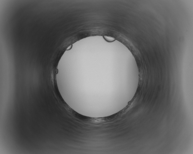 X0000102400333200808011000