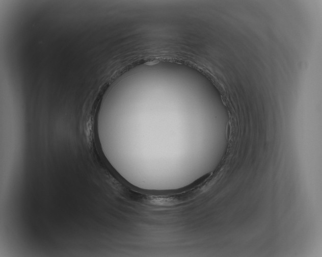 X0000102400336200808011000