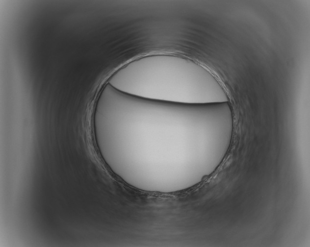 X0000102400337200808010959