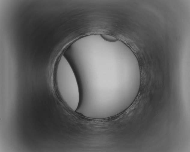 X0000102400338200808010959