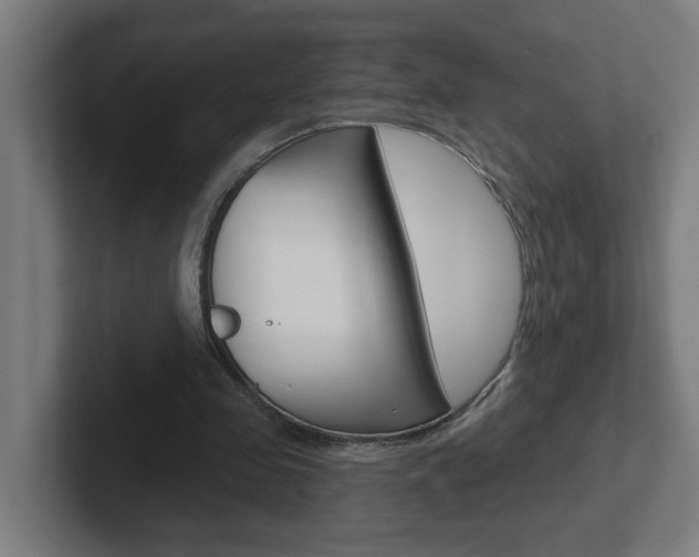 X0000102400341200808010959