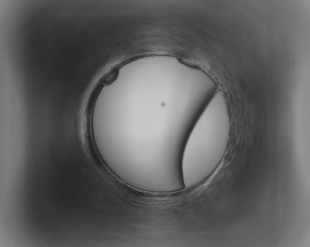 X0000102400342200808010959