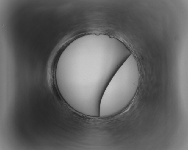 X0000102400343200808010959