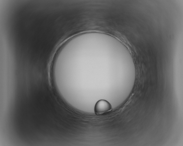 X0000102400344200808010959