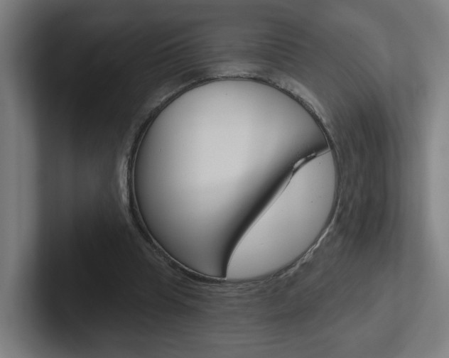 X0000102400345200808010959