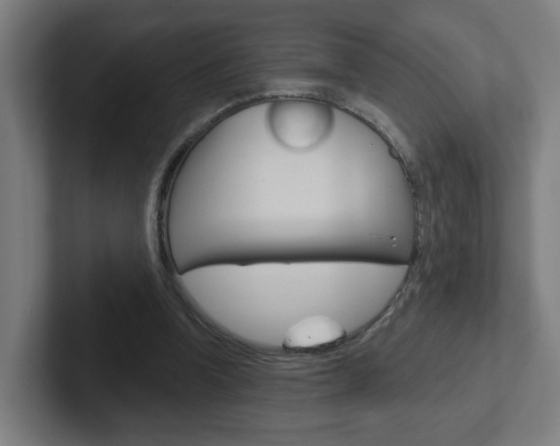 X0000102400346200808010959