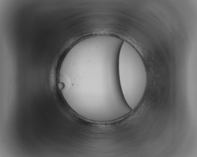 X0000102400347200808010959