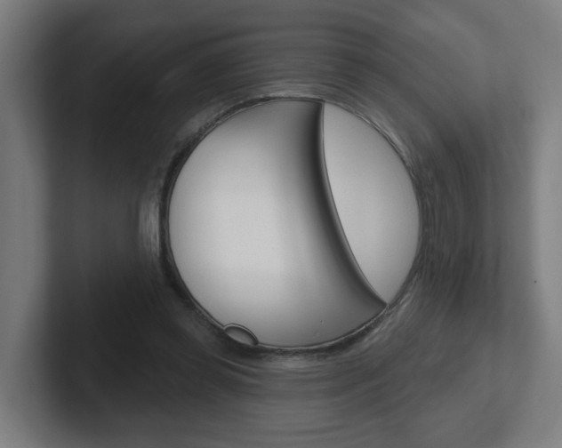X0000102400349200808010959