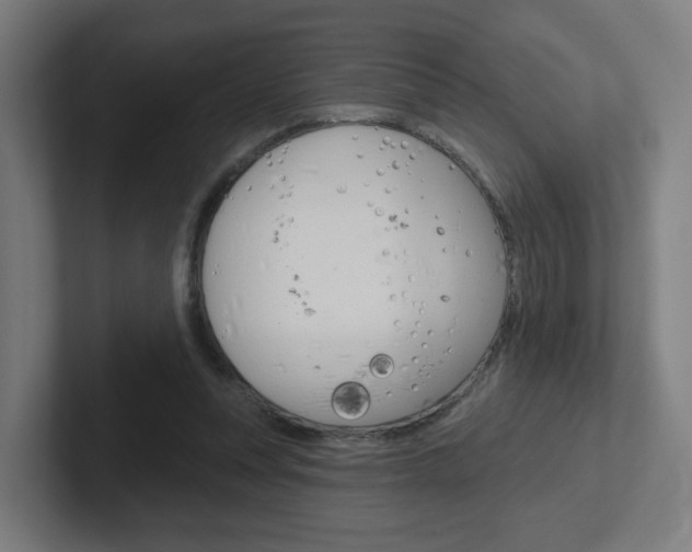 X0000102400351200808010959