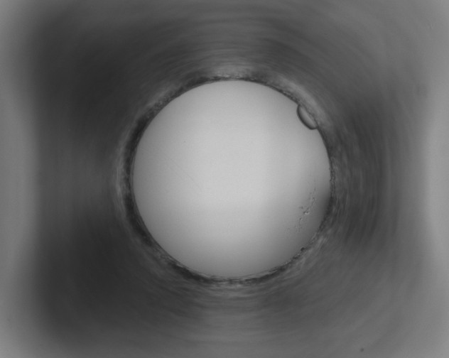 X0000102400354200808011000