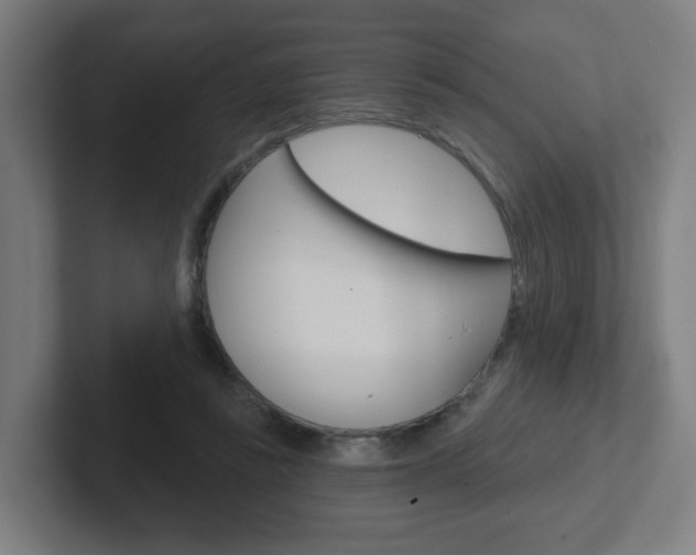 X0000102400355200808011000