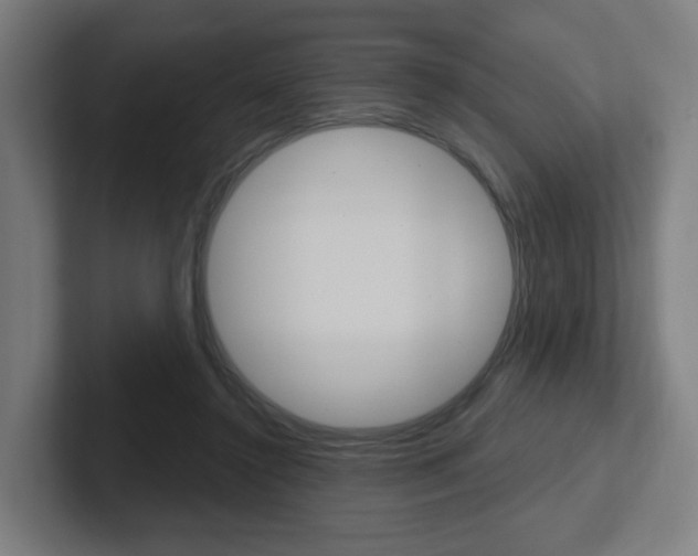 X0000102400356200808011000