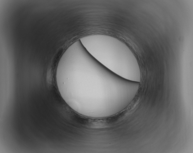 X0000102400359200808011000