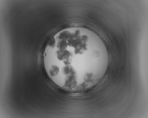 X0000102400361200808011000