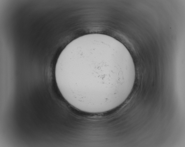 X0000102400362200808011000