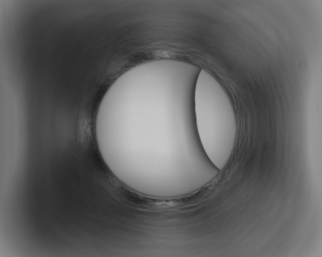 X0000102400363200808011000