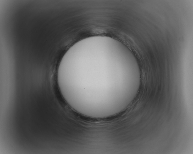 X0000102400364200808011000