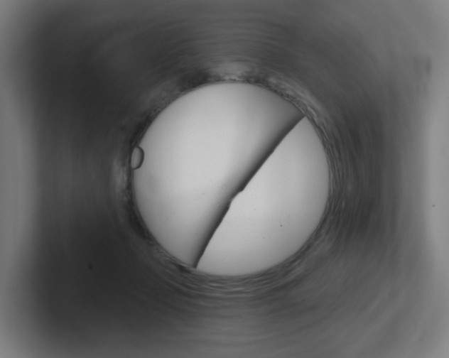 X0000102400365200808011000