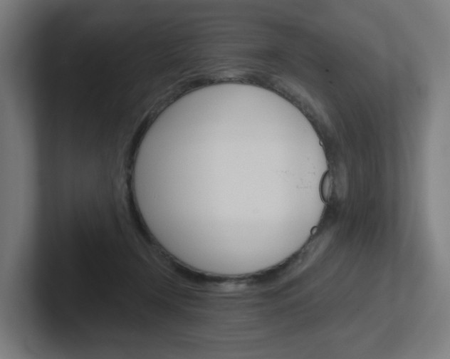 X0000102400366200808011000