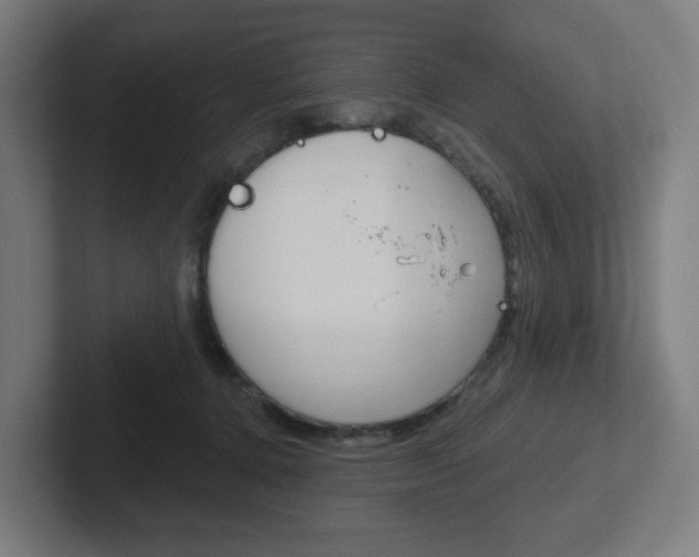 X0000102400368200808011000