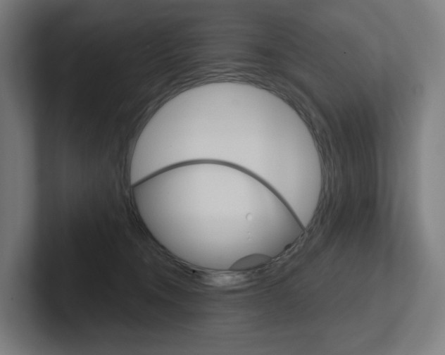 X0000102400372200808011000