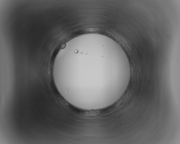 X0000102400373200808011000