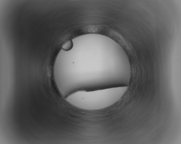 X0000102400374200808011000