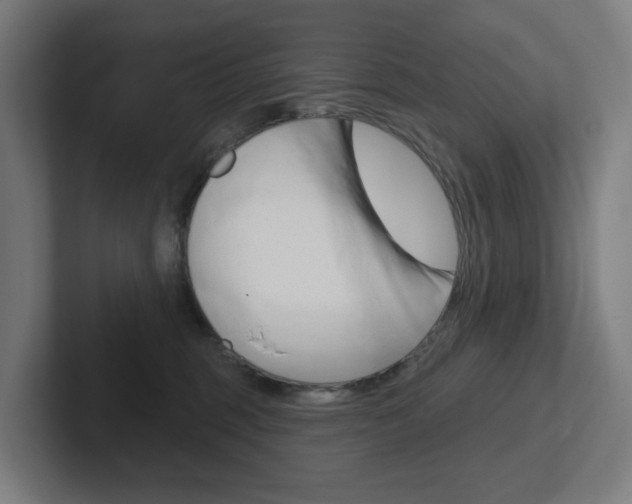 X0000102400375200808011000