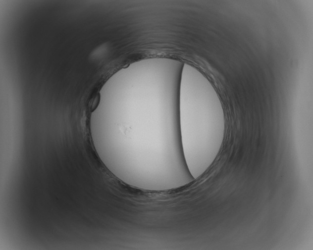 X0000102400377200808011000