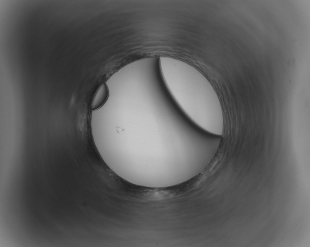 X0000102400379200808011000