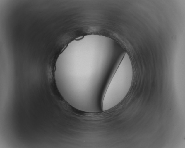 X0000102400380200808011000