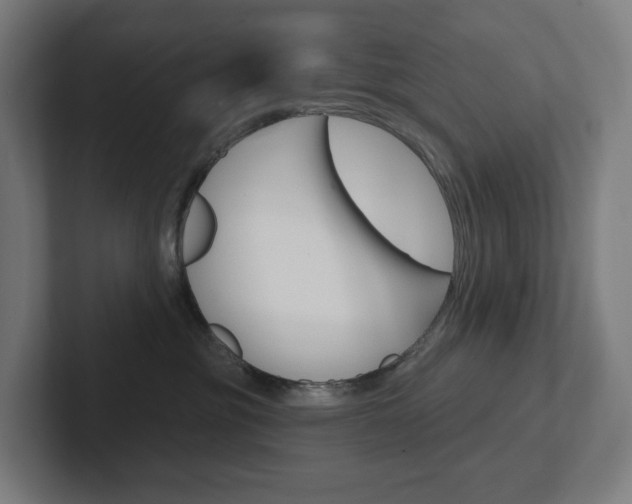 X0000102400381200808011000