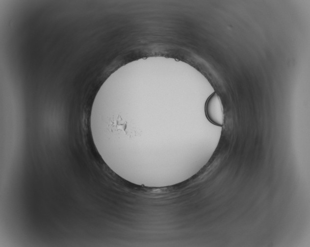 X0000102400382200808011000