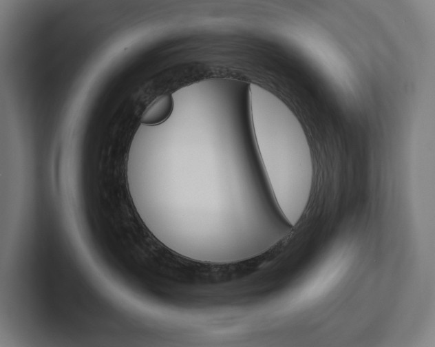 X0000102400383200808011000