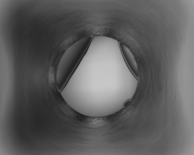 X0000102400384200808011000
