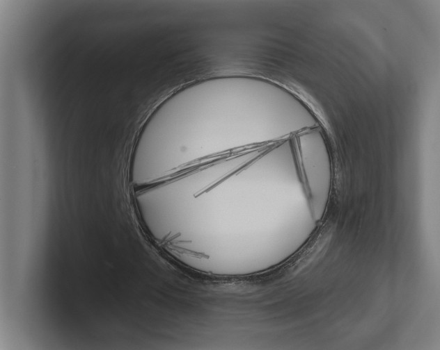 X0000102400385200808010959