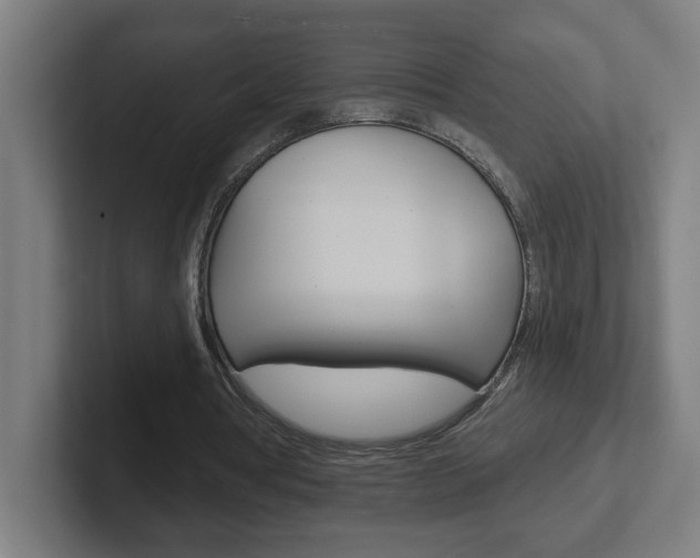 X0000102400386200808010959