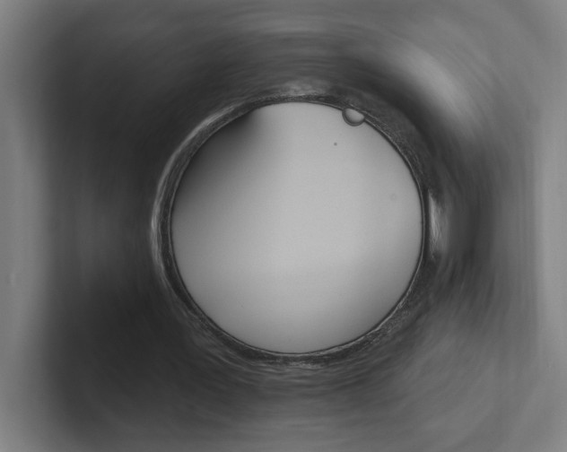 X0000102400387200808010959