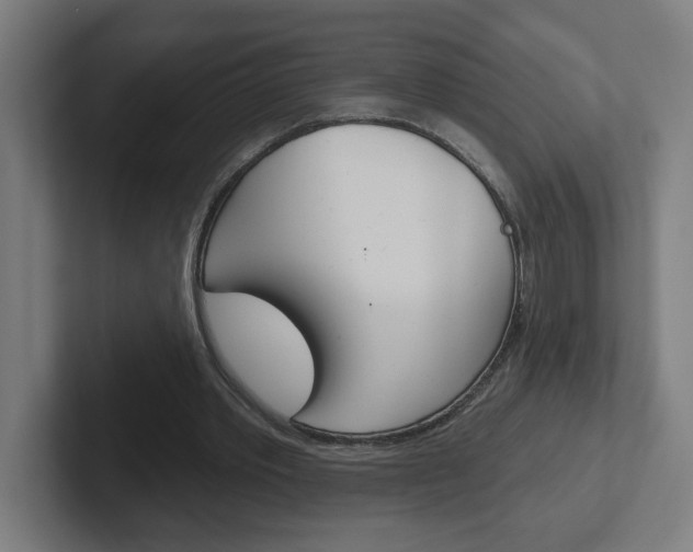 X0000102400389200808010959