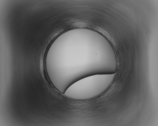 X0000102400390200808010959