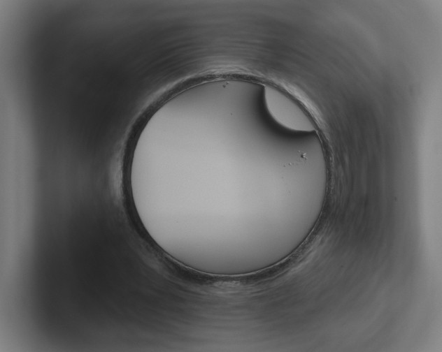 X0000102400391200808010959