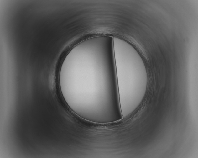 X0000102400392200808010959
