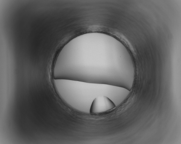 X0000102400393200808010959
