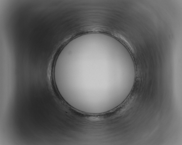 X0000102400394200808010959
