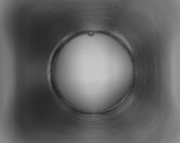 X0000102400395200808010959
