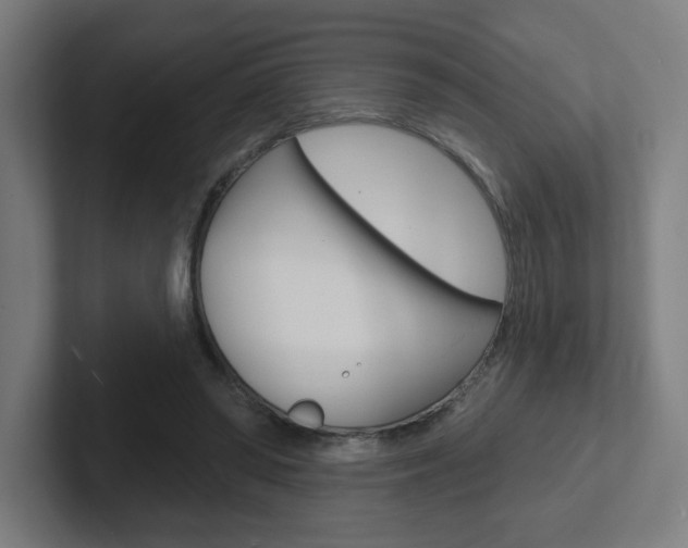 X0000102400398200808010959