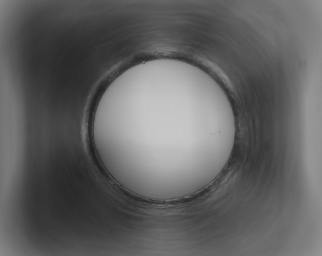 X0000102400399200808010959