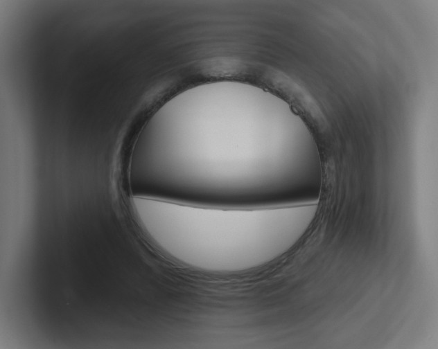 X0000102400400200808010959