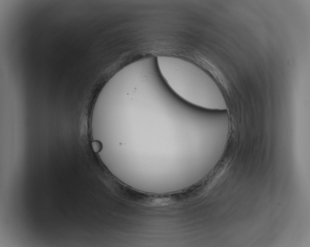 X0000102400401200808010959