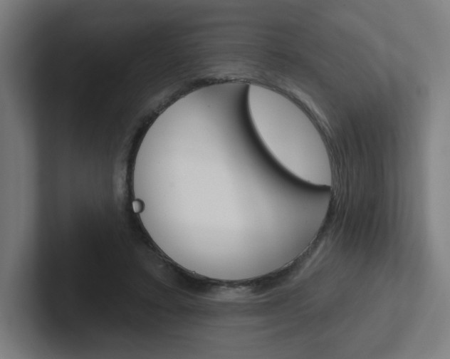 X0000102400403200808010959